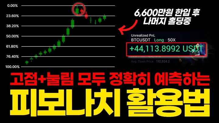 고점+눌림 모두 정확히 예측하는 피보나치 활용법 — BC차트연구소 무료 강의 영상